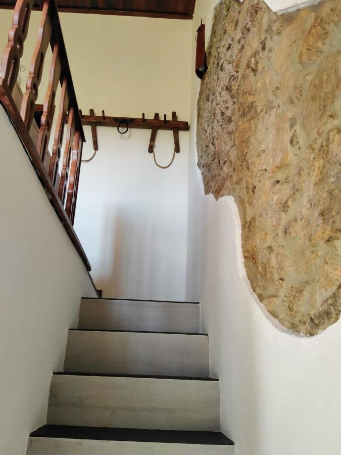 Casa Janeiro Alentejo Βίλα Portalegre Εξωτερικό φωτογραφία